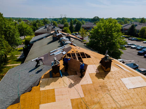 Best Storm Damage Roof Repair  in Fort Polk North, LA
